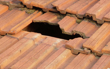 roof repair Whaddon